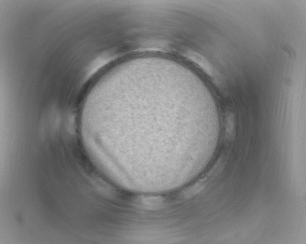 X0000115061258200911231207