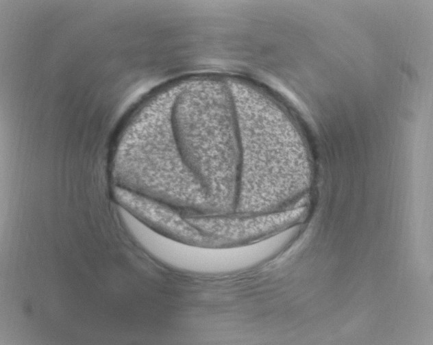 X0000115061259200911231207