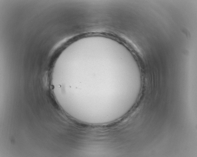 X0000115061262200911231207