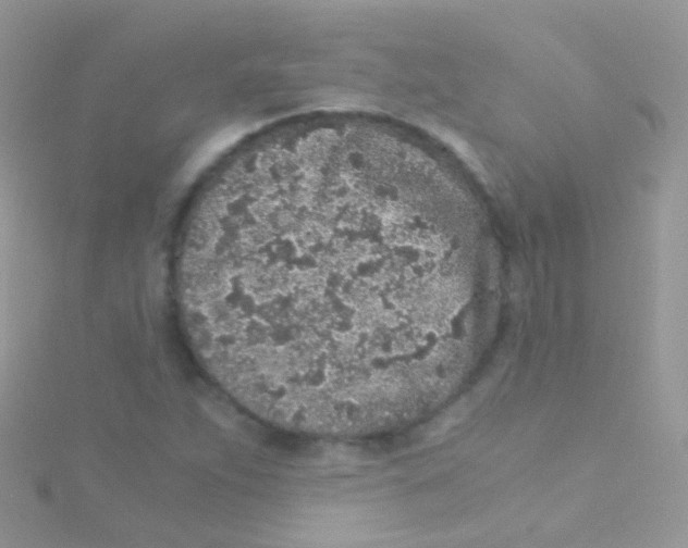 X0000115061263200911231207