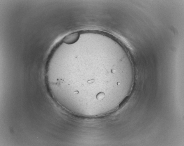 X0000115061264200911231207