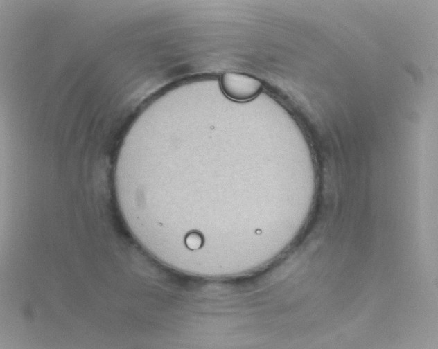 X0000115061265200911231207