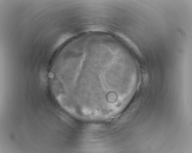 X0000115061266200911231207