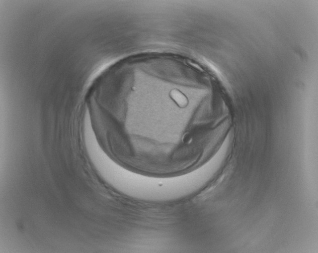 X0000115061267200911231207