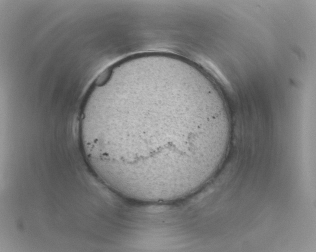 X0000115061268200911231207