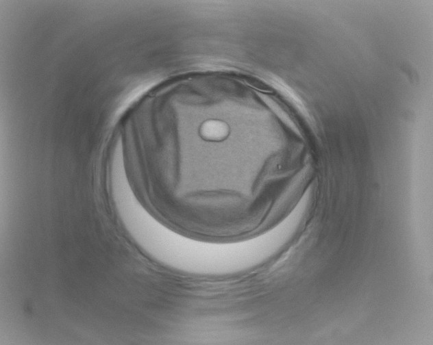 X0000115061269200911231207