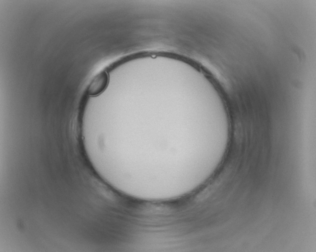 X0000115061270200911231207