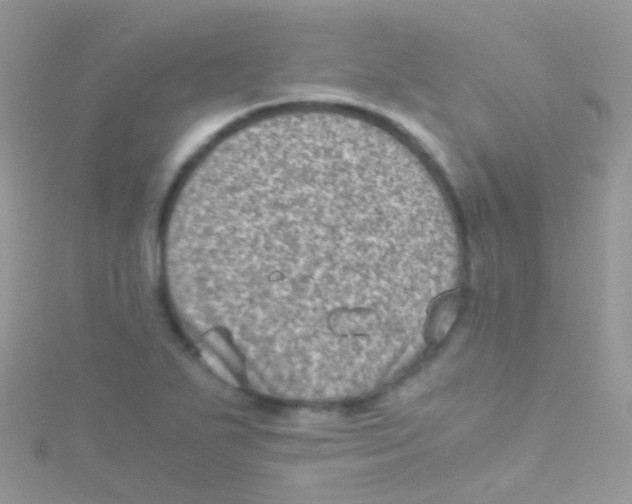 X0000115061271200911231207