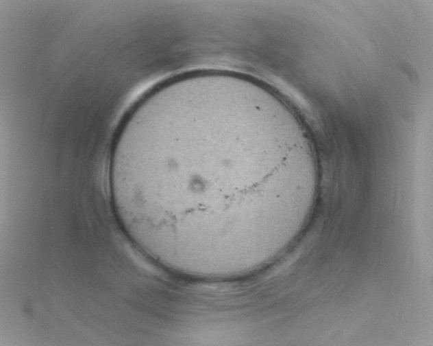 X0000115061272200911231207