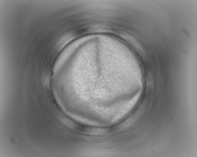 X0000115061273200911231207