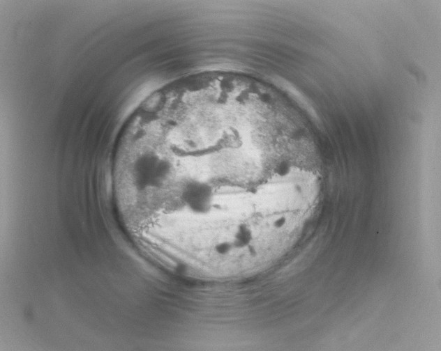 X0000115061274200911231207