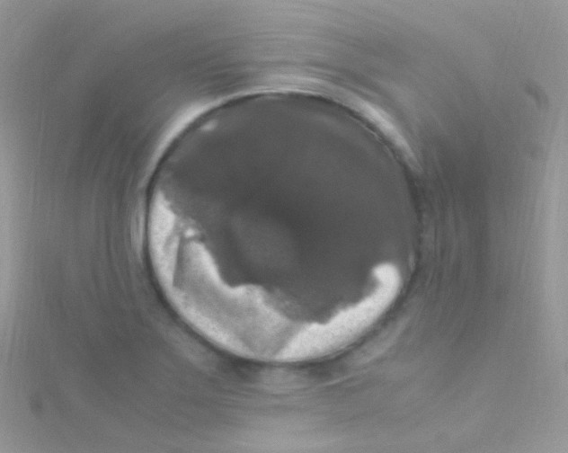 X0000115061275200911231207