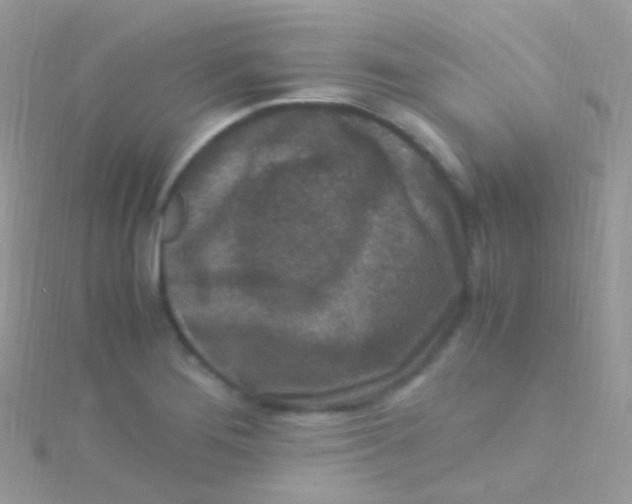 X0000115061276200911231207