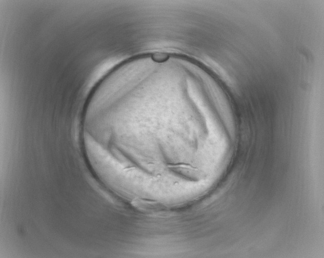 X0000115061277200911231207