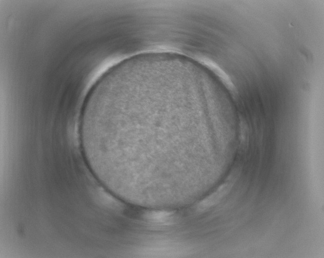 X0000115061278200911231207