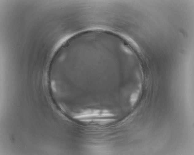 X0000115061279200911231207