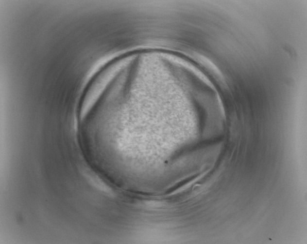 X0000115061280200911231207