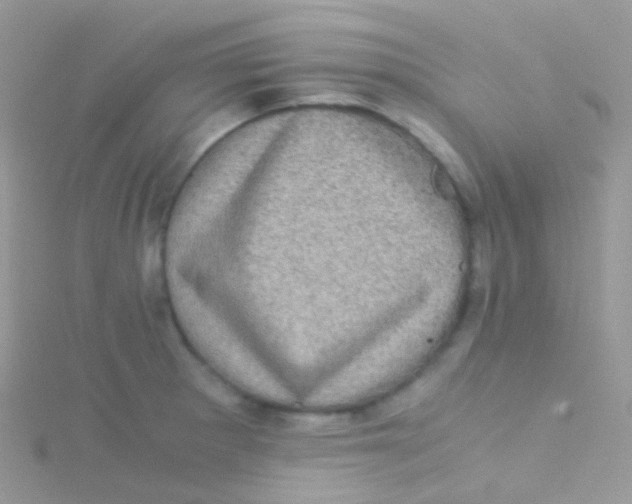 X0000115061281200911231207