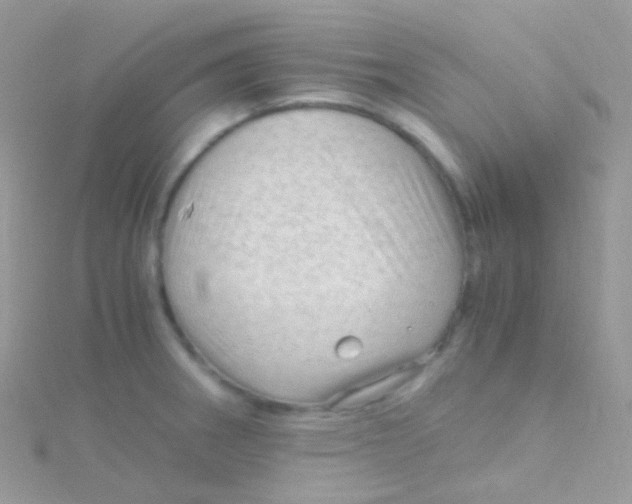 X0000115061282200911231207