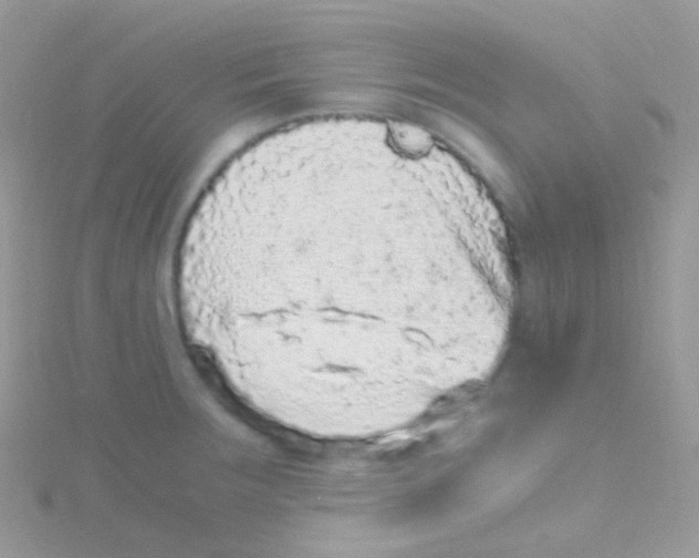 X0000115061283200911231207