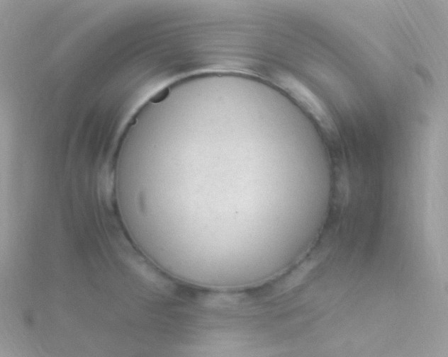 X0000115061284200911231207