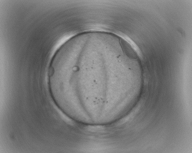 X0000115061285200911231207