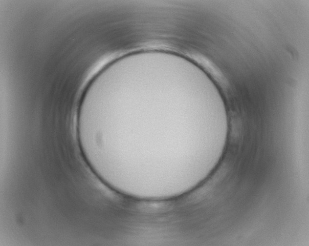 X0000115061286200911231207