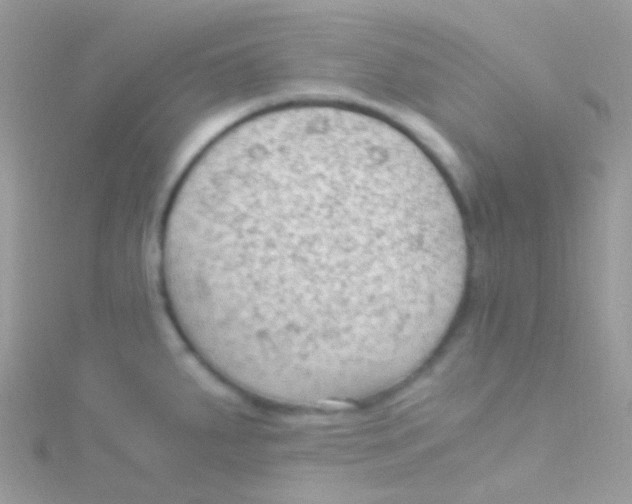 X0000115061287200911231207