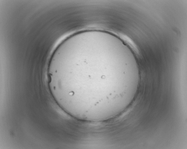 X0000115061288200911231207