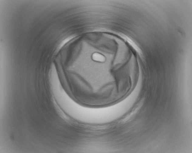 X0000115061289200911231207