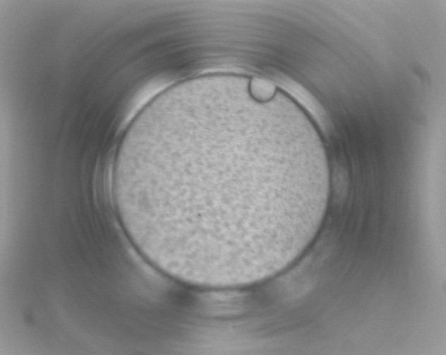 X0000115061290200911231207