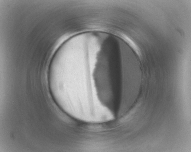 X0000115061291200911231207