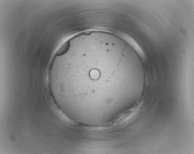 X0000115061292200911231207