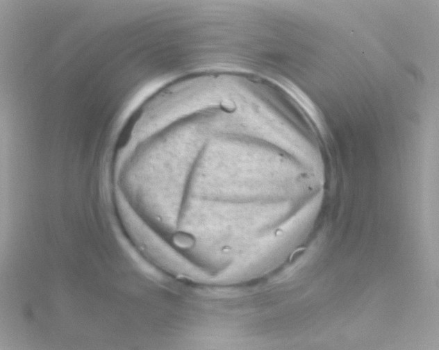 X0000115061293200911231207