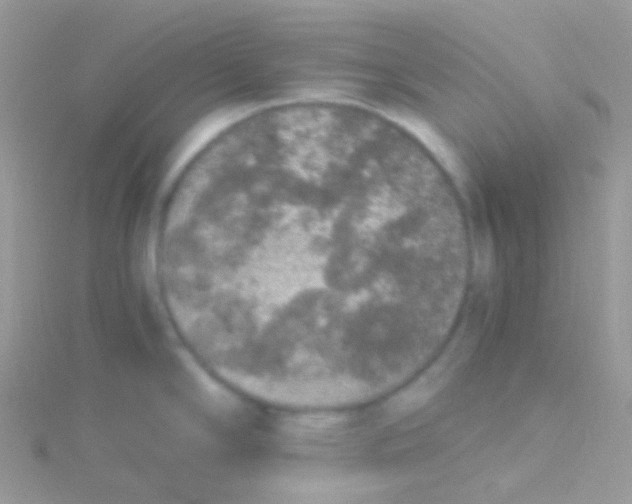 X0000115061294200911231207