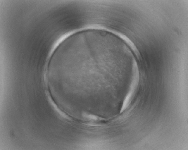 X0000115061295200911231207