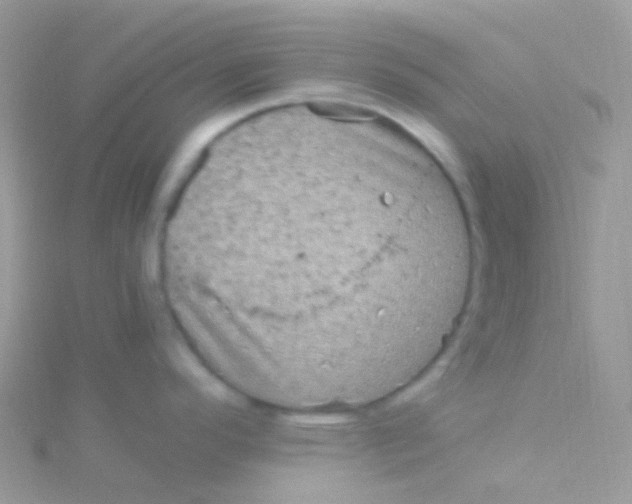 X0000115061296200911231206