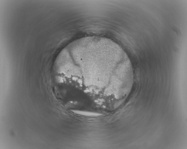 X0000115061297200911231206