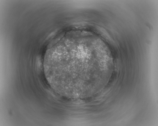 X0000115061298200911231206