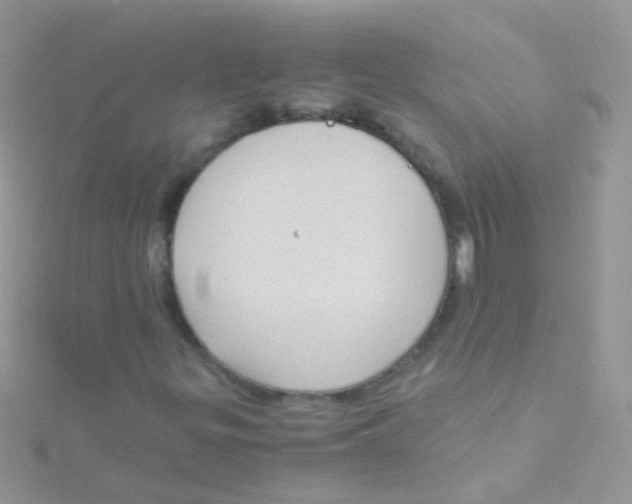 X0000115061299200911231206