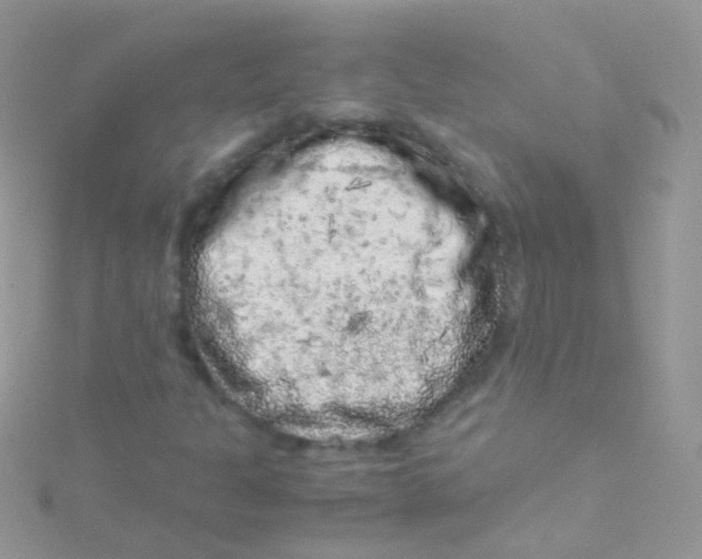 X0000115061301200911231206