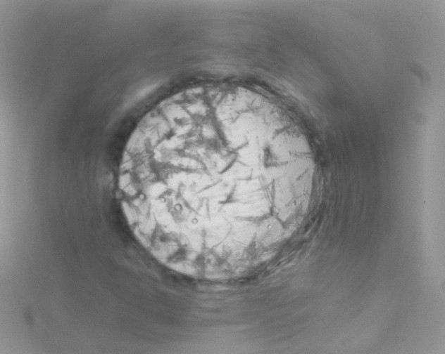 X0000115061302200911231206