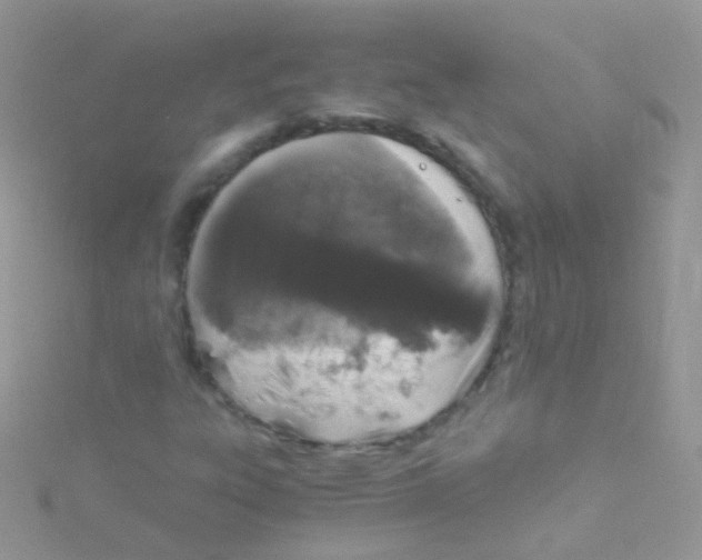 X0000115061303200911231206