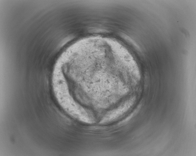 X0000115061305200911231206