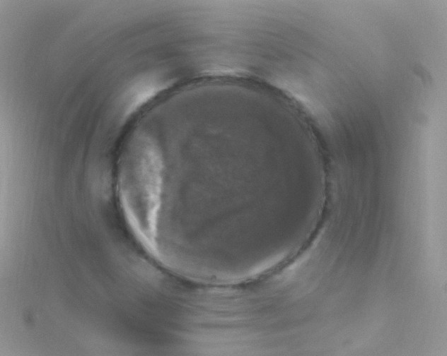 X0000115061306200911231206