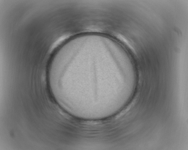 X0000115061307200911231206