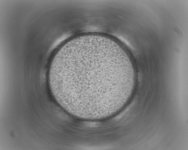 X0000115061309200911231206