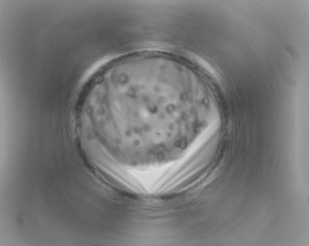 X0000115061310200911231206