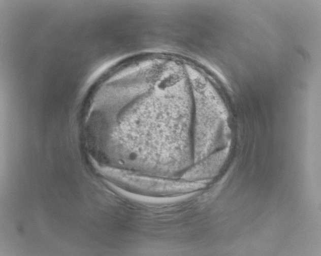 X0000115061311200911231206