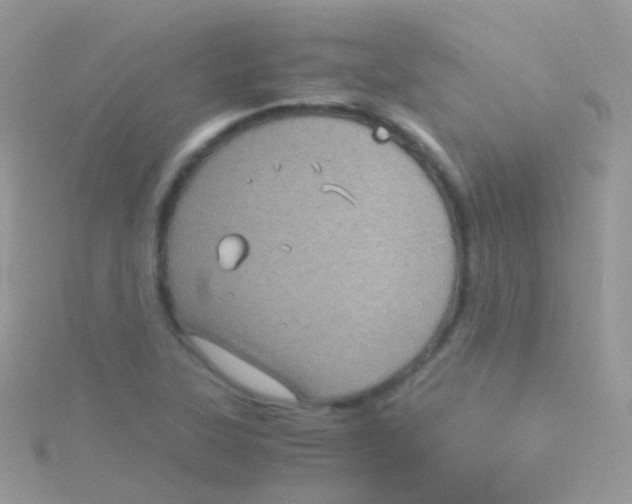 X0000115061315200911231206